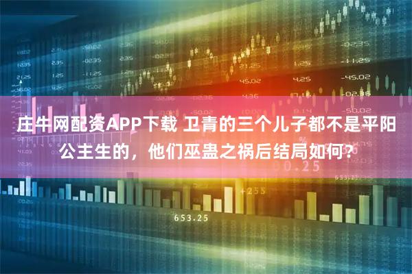 庄牛网配资APP下载 卫青的三个儿子都不是平阳公主生的，他们巫蛊之祸后结局如何？