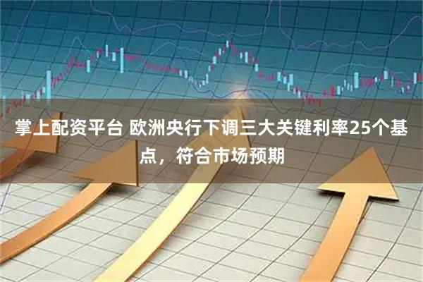 掌上配资平台 欧洲央行下调三大关键利率25个基点，符合市场预期