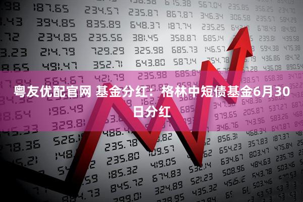 粤友优配官网 基金分红：格林中短债基金6月30日分红