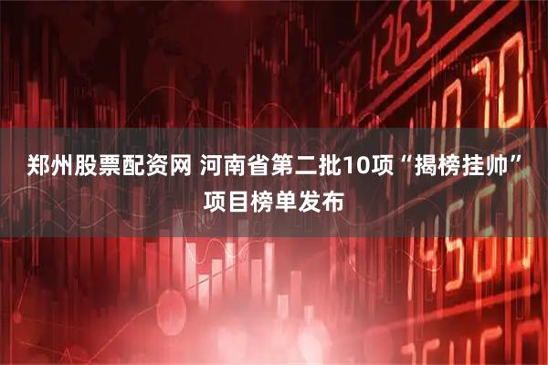 郑州股票配资网 河南省第二批10项“揭榜挂帅”项目榜单发布
