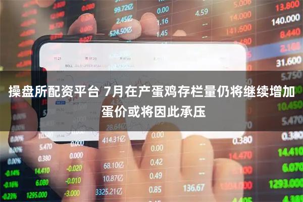 操盘所配资平台 7月在产蛋鸡存栏量仍将继续增加 蛋价或将因此承压