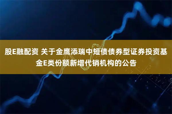 股E融配资 关于金鹰添瑞中短债债券型证券投资基金E类份额新增代销机构的公告