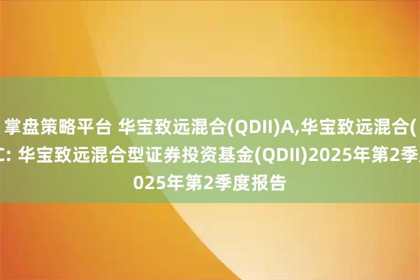 掌盘策略平台 华宝致远混合(QDII)A,华宝致远混合(QDII)C: 华宝致远混合型证券投资基金(QDII)2025年第2季度报告