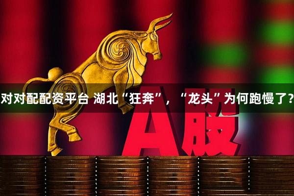 对对配配资平台 湖北“狂奔”，“龙头”为何跑慢了？