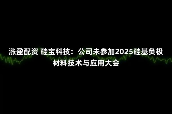 涨盈配资 硅宝科技：公司未参加2025硅基负极材料技术与应用大会