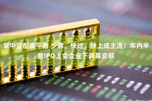 掌中宝配资平台 少募、快过、快上成主流！年内半数IPO上会企业下调募资额